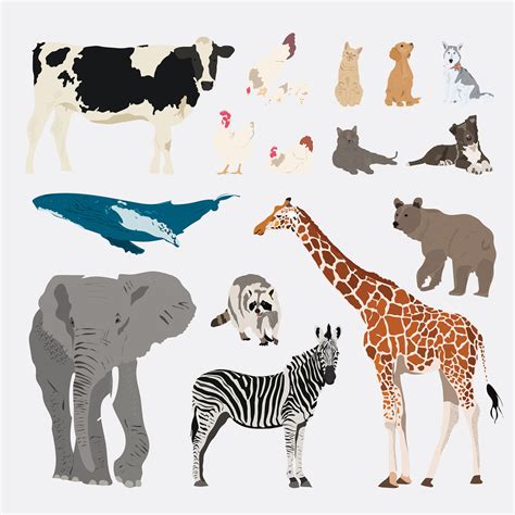 Vector Animals Pack - Free Download – Studio Alternativi