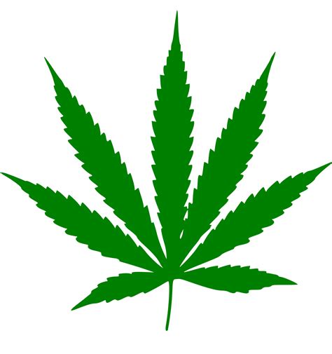 Pot Leaf Drawing | Free download on ClipArtMag