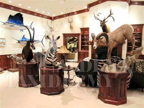 kudu pedastal mounts - Google Search | Trophy rooms, Hunting room, Hunting lodge