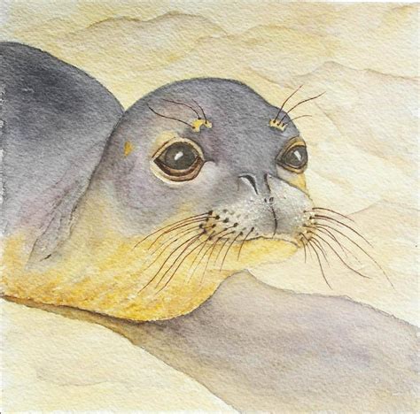 Hawaiian Monk Seal - Nina Major Watercolor Art & Silk Painting