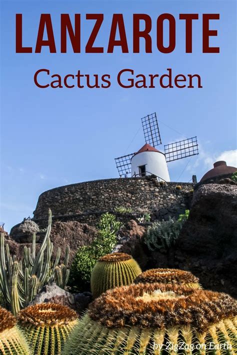 Cactus Garden (Lanzarote) - Visit Tips + Photos