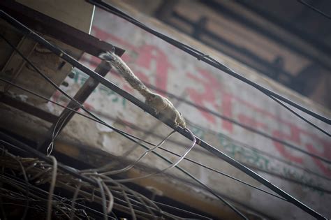 Old Delhi Streets on Behance