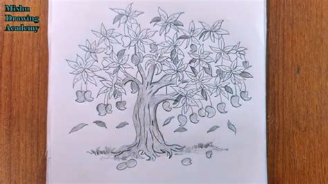 how to draw mango tree step by step/mango tree drawing - YouTube