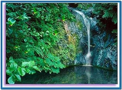 Moving waterfall screensaver with sound - Download free