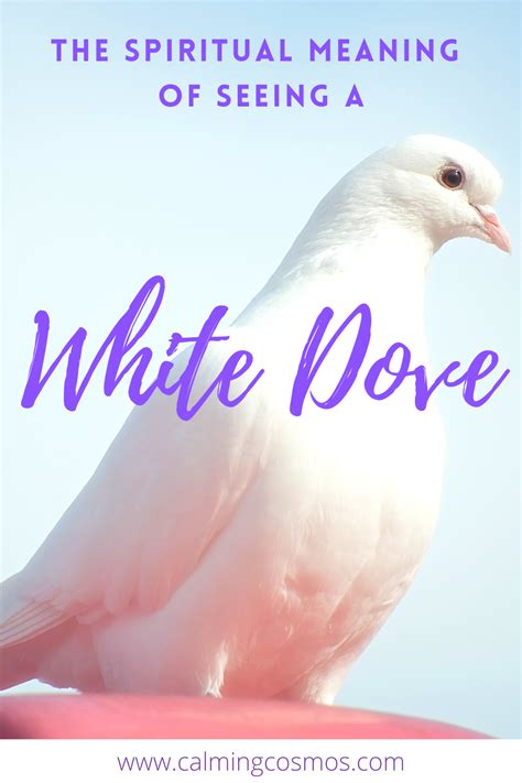 The Spiritual Meaning Of A White Dove, Dove Meanings, Dove Flying, Dove Dream meaning | Doves ...