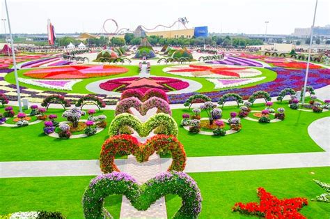 Dubai Miracle Garden: World's Biggest Natural Flower Garden