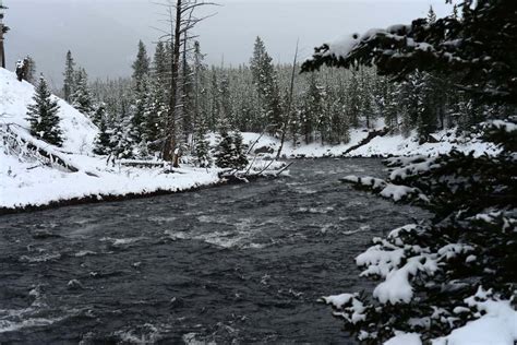 10 Essential Tips for Exploring Yellowstone in Winter