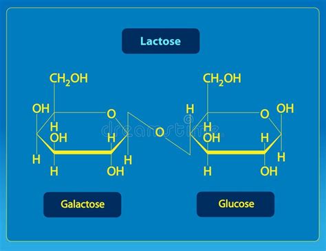 Lactose stock illustration. Illustration of food, biology - 52510569