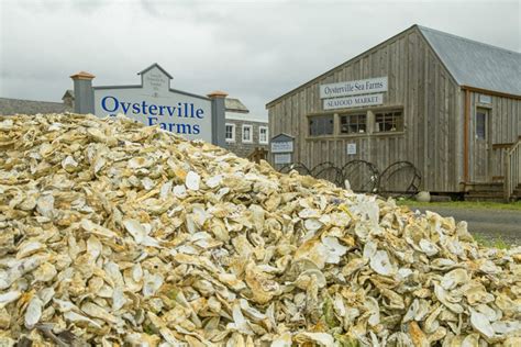 Aw, Shucks! Shellabrating Willapa Bay Oysters!