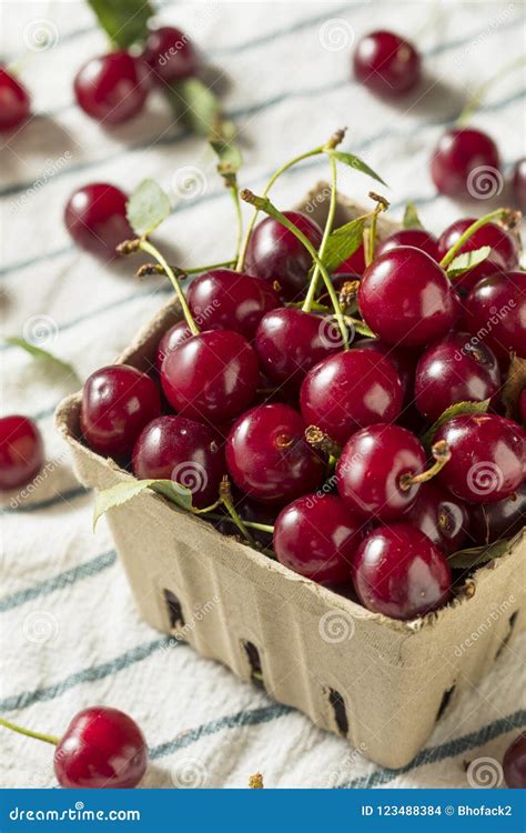 Raw Red Organic Tart Cherries Stock Photo - Image of sweet, green: 123488384