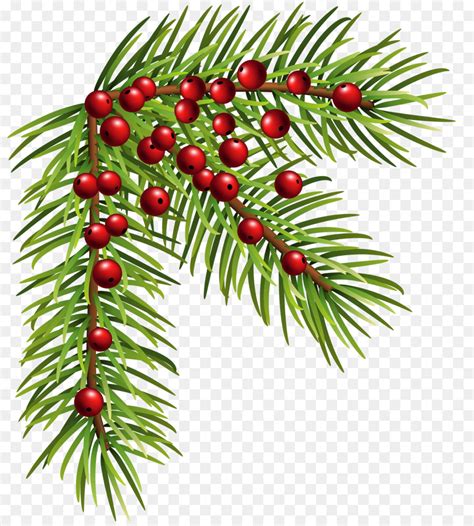 christmas cranberry clipart 10 free Cliparts | Download images on Clipground 2024