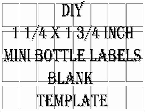 Mini Wine Bottle Labels Templates Lovely Mini Liquor Bottle Label Template Printable 4 Files 24 ...