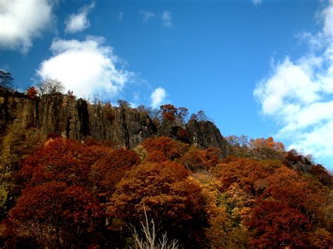 Palisades State Park, a New York State Park located near Astoria, Bayside and Belleville