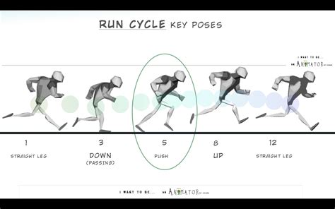 Tutorial: How to Create a Run Cycle | Run cycle, Animation reference, Animation