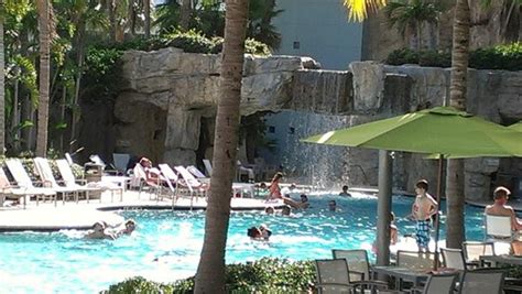 Pool - Picture of Hyatt Regency Sarasota, Sarasota - TripAdvisor