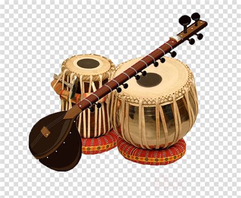 Indian musical instruments information