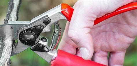 Pruning shears. Always tested and in stock