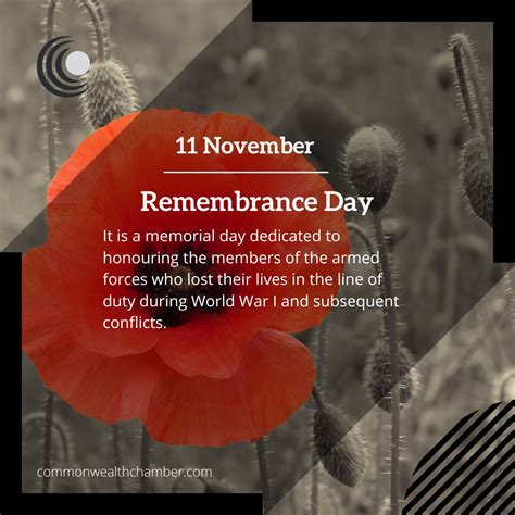 Cut out remembrance day poppy template