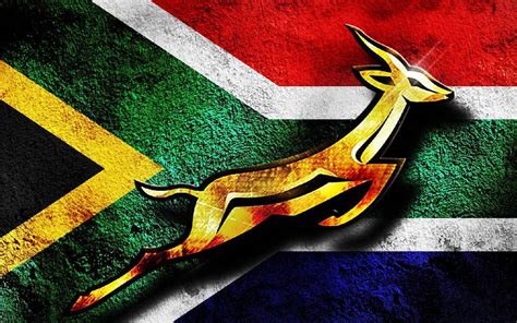 2023 Rugby World Cup – Can the Springboks get back-to-back wins? – The ...