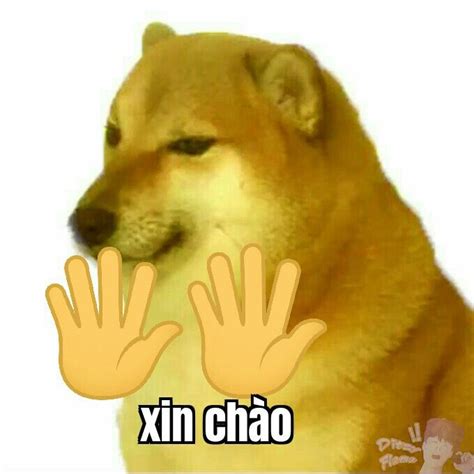 Cheems xin chào | Ảnh chó vui nhộn, Meme, Hài hước