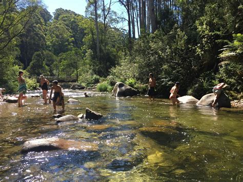 Bogong Village Accommodation - Mount Beauty