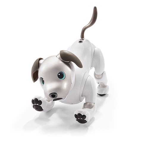 Aibo ERS-1000-, 55% OFF | www.elevate.in