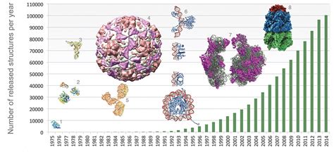 Protein Data Bank Archives its 100,000th Molecule Structure