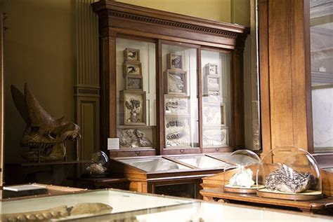 Fossil Room | Photos from Teylers Museum in Haarlem, the Net… | Flickr