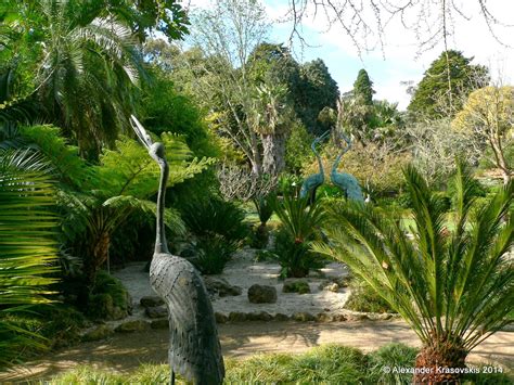 Aggregata Plants & Gardens: Visit to the Geelong Botanic Gardens in ...