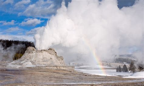 Yellowstone National Park Winter Vacation Packages - AllTrips