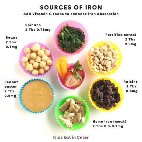 50 Iron-Rich Foods for Babies, Toddlers & Kids - Kids Eat in Color