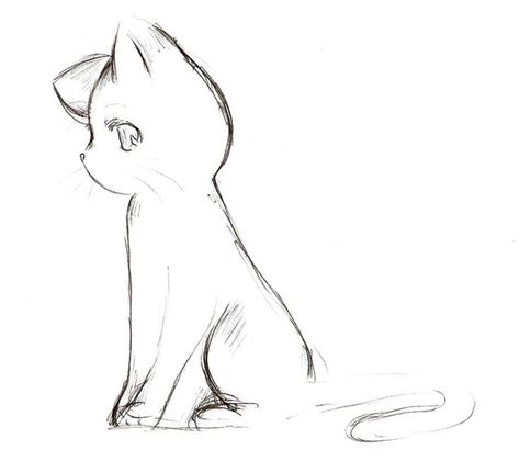 Untitled | Cute anime cat, Drawings, Cat sketch