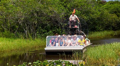 Top 8 Cajun Country Louisiana Activities :: Swamp Tours and More