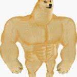 buff doge Meme Generator - Imgflip