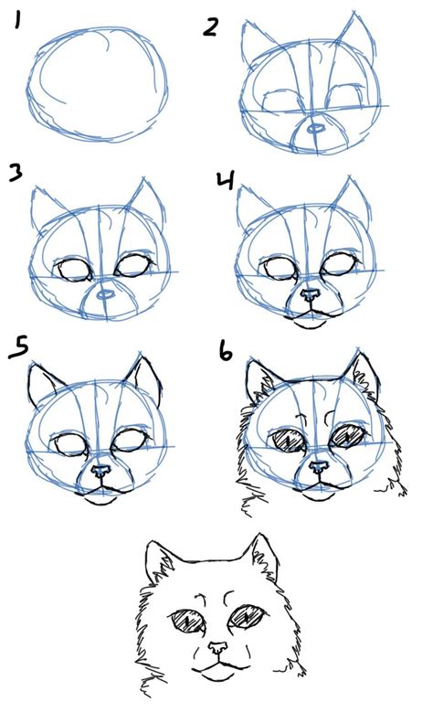 Savanna Williams: How to Draw Cats- Faces / Heads | Cat drawing, Cat face drawing, Cat drawing ...