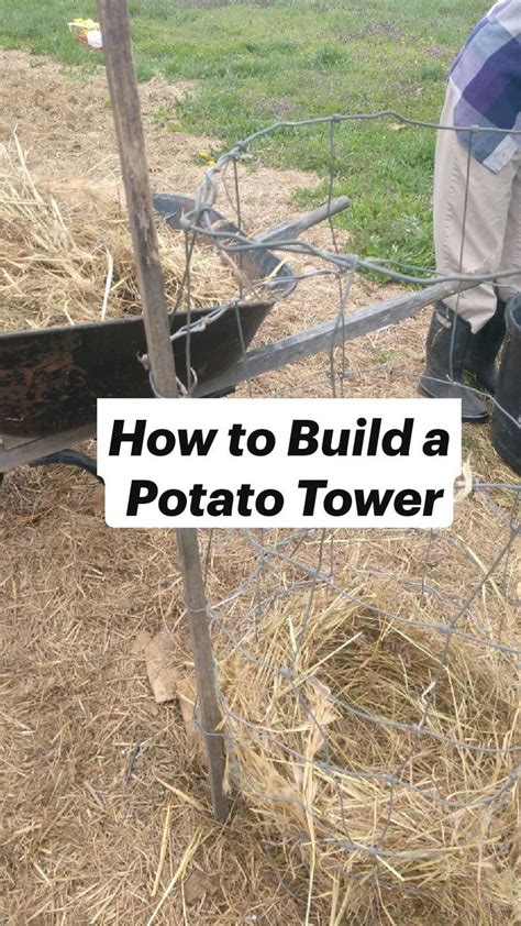 How to Build a Potato Tower: An immersive guide by bigredbarnandboots.com