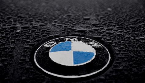 BMW Logo Wallpapers, Pictures, Images