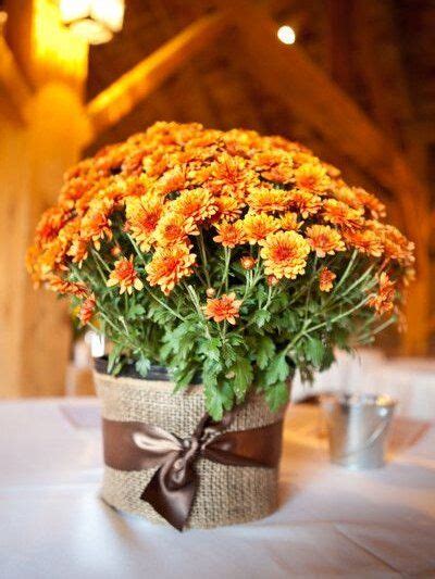 21 Magnificent Ideas for Potted Mums in 2020 | Potted mums, Rustic fall ...