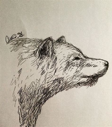 #art #bear #sketch #pen #cassiejantzer | Art, Artwork, Pen art