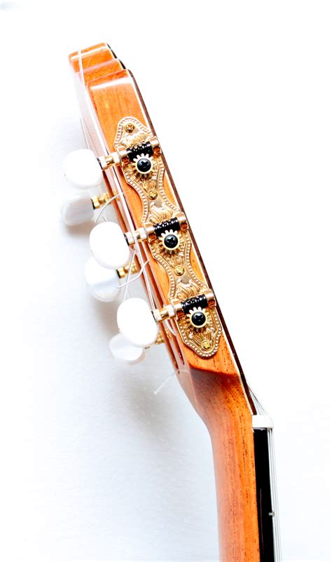 33 pegs - Guitars From Spain | Online Guitar Store