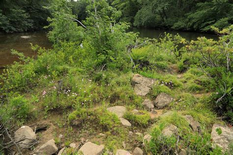 River Scour, Little River Canyon Wildlife Management Area,… | Flickr