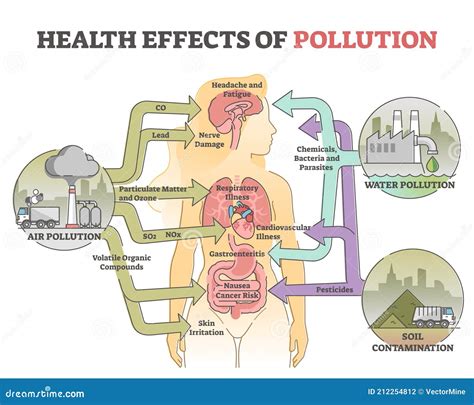 Health Effects of Pollution As Body Hazard from Urban Danger Outline Diagram Stock Vector ...