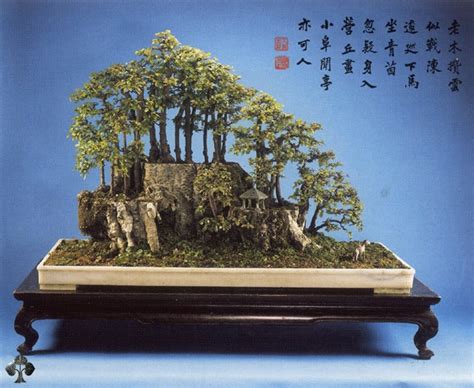 Top 10: Chinese Penjing trees - Bonsai Empire