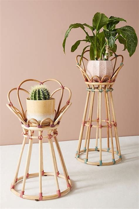 18 Stylish Indoor Flower Pots - Affordable Indoor Pots for Your Plants