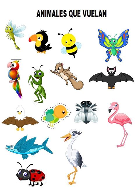 ANIMALES QUE VUELAN | Animales que vuelan, Animales voladores, Animales ...