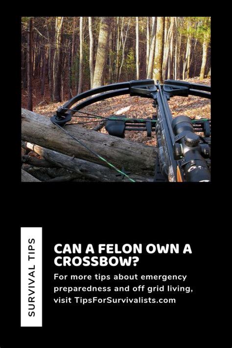 Can A Felon Own A Crossbow? – Tips For Survivalists | Survivalist ...