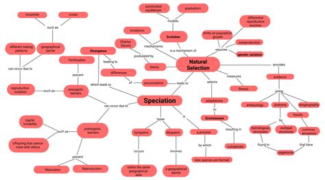 **Concept Mapping** Make a concept map that shows how natura | Quizlet