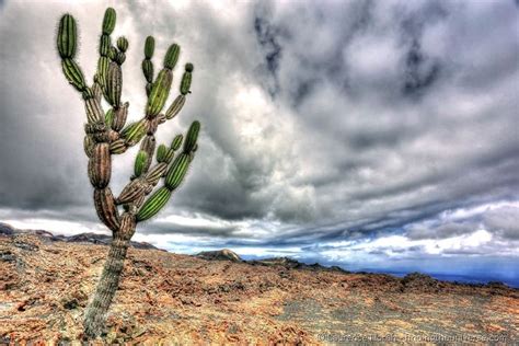 In Photos: Landscapes of the Galapagos - Finding the Universe