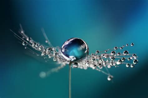 5 Tips for Water Droplet Photography | Skylum Blog (ex-Macphun)