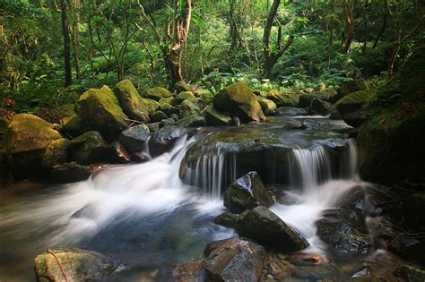 Free photo: landscape, falls, aoyama falls | Hippopx